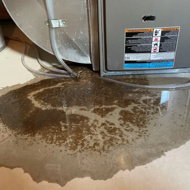 Pipe Burst and Leak Restoration in Parole, MD
